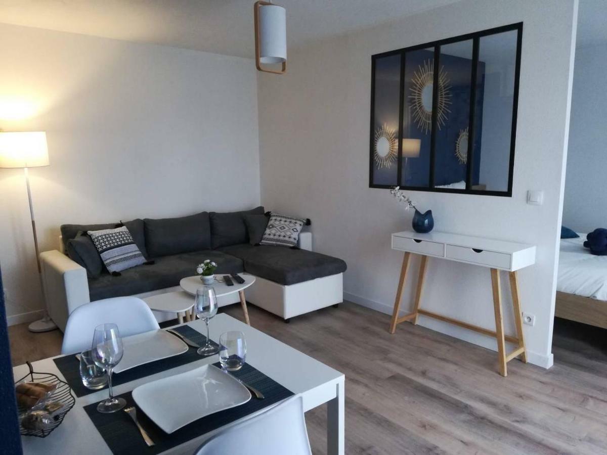 Appartement Cosy Proche Meteo France Et Airbus Toulouse Exterior foto