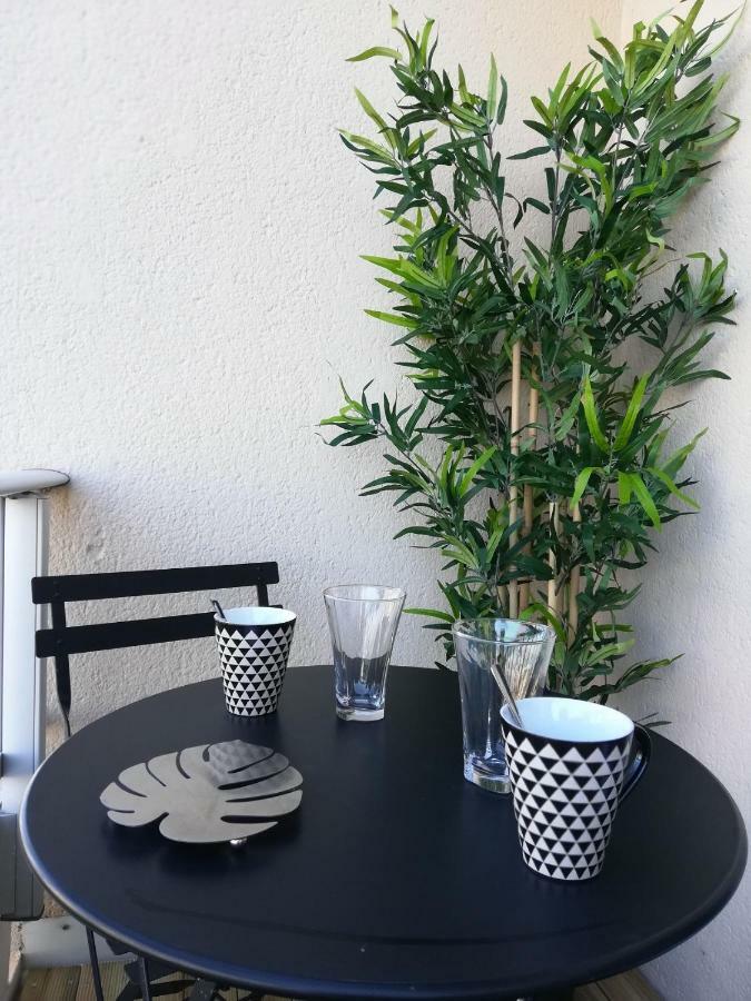Appartement Cosy Proche Meteo France Et Airbus Toulouse Exterior foto